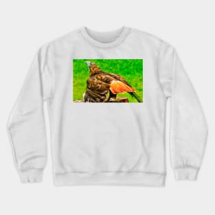 sli liftoff Crewneck Sweatshirt